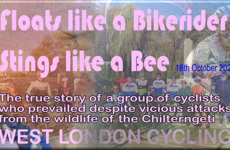 The buzz of the ride when not only the hills sting….fun on the run with West London Cycling