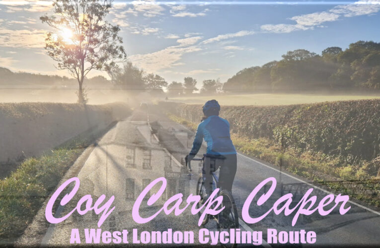 The Festive 500 Finalé .. the Roundel awards and lunch at the Coy Carp … New Year Eve riding with West London Cycling starts at 9am from Hillingdon Station (UB10 9NR)